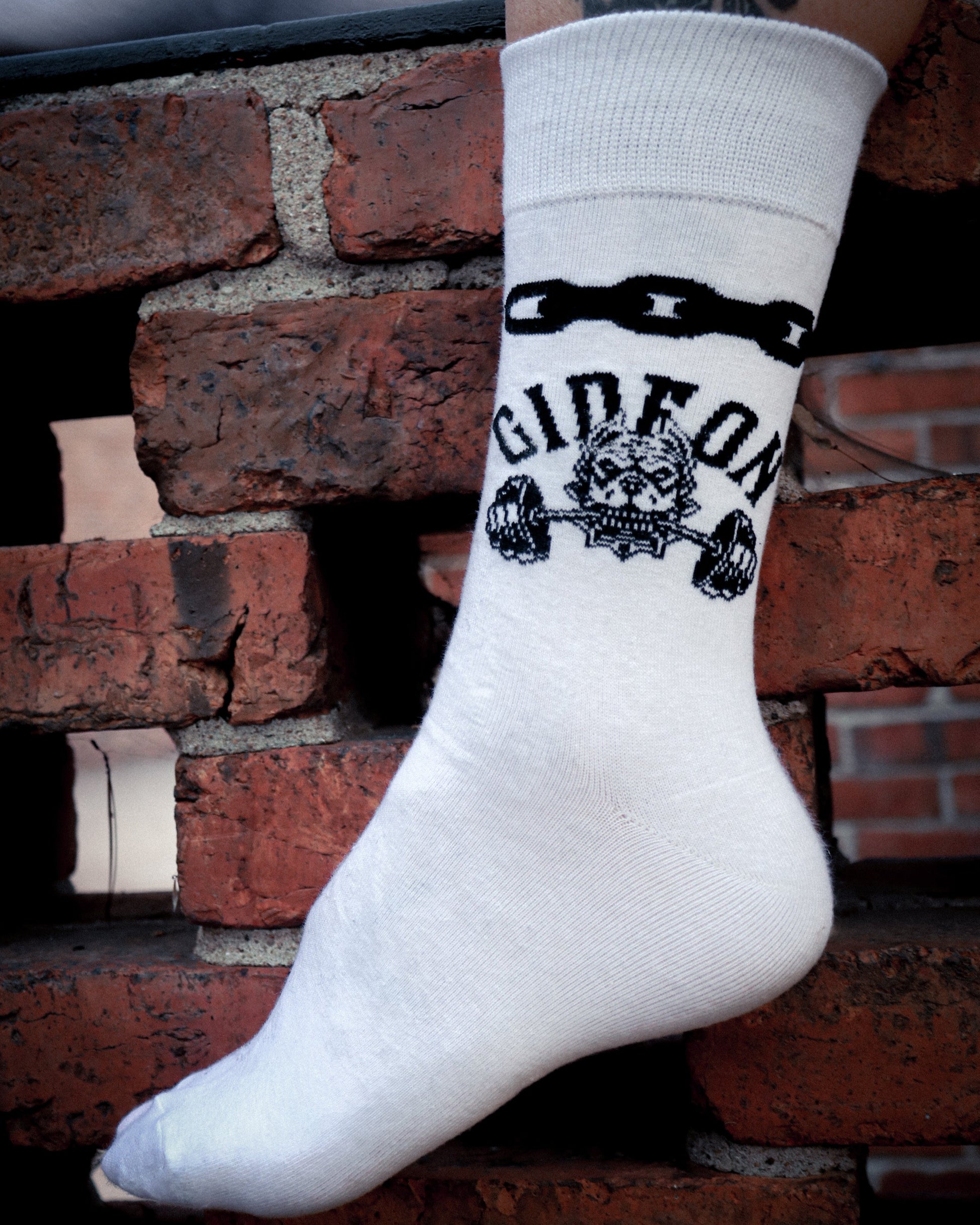 Gideon band merchandise. White sock, quarter crew length. Black chain link around top and on outer side a dog biting down on barbell.